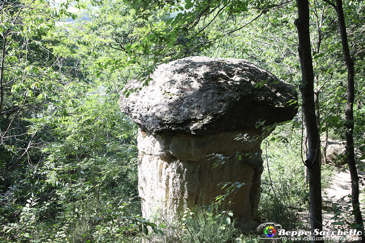 VBS_8948 - I Ciciu del Villar. Villar San Costanzo. Val Maira (Cuneo).jpg